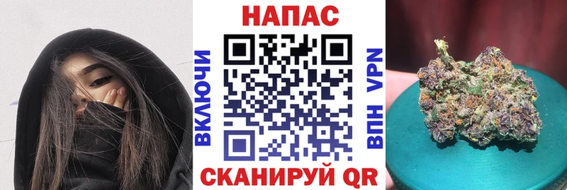 МАРИХУАНА гибрид  Тутаев 